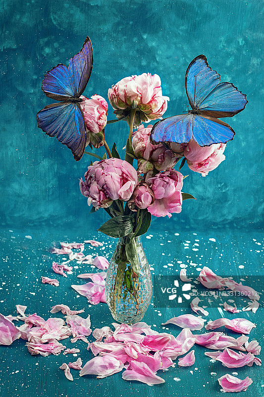 牡丹花和蝴蝶花束图片素材