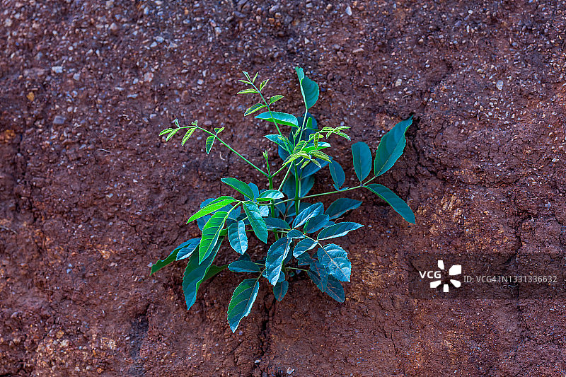 新生活图片素材