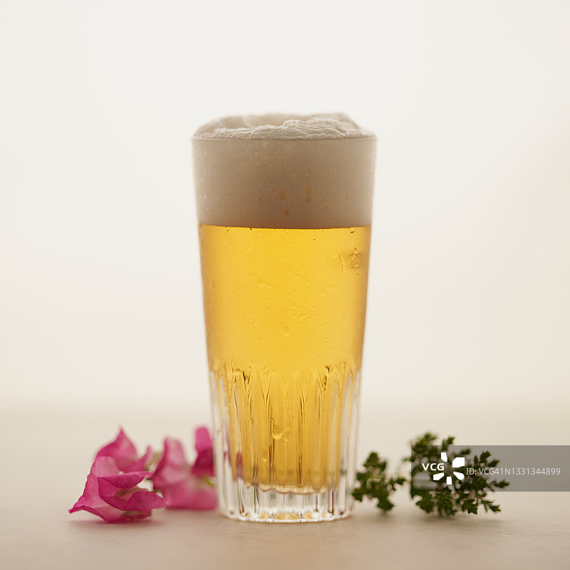 比利时皮尔森啤酒图片素材