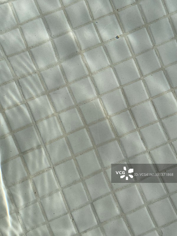 浅水池中的清水图片素材