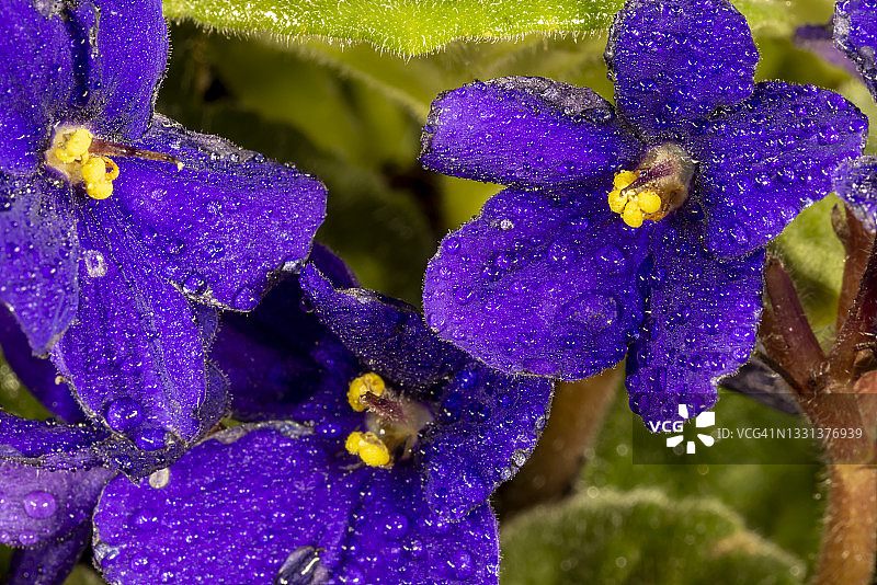 紫色光绘图片素材