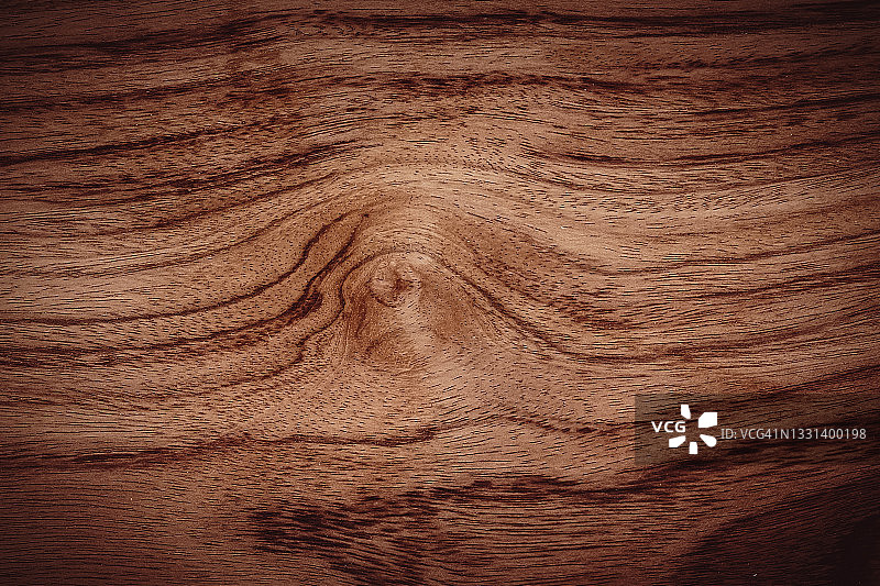 清晰的树木纹理图案图片素材