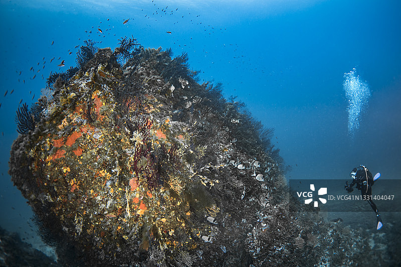 克罗斯港国家公园的海景和潜水图片素材