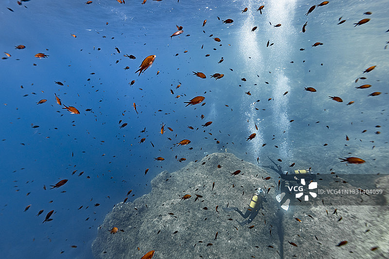 克罗斯港国家公园的海景和潜水图片素材