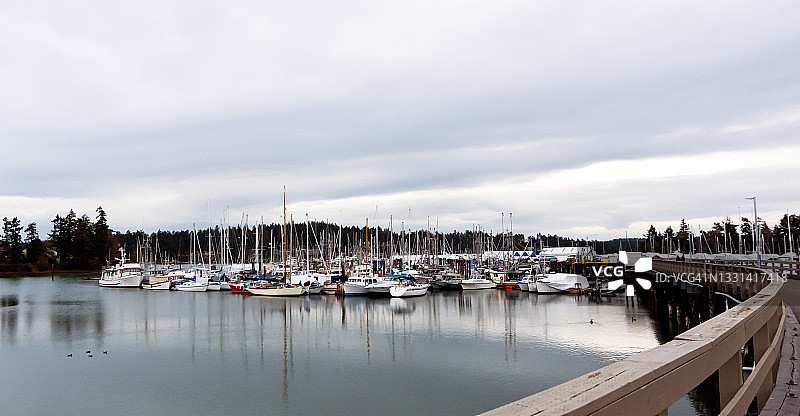 加拿大不列颠哥伦比亚省港口停泊的船只景观图片素材