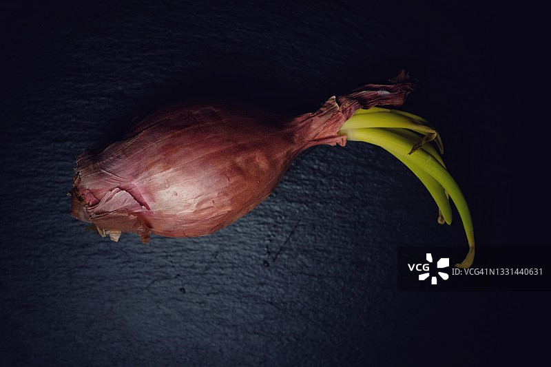 昏暗灯光下的洋葱图片素材