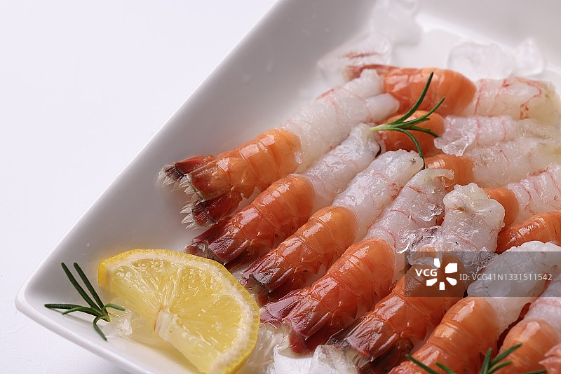 鼓虾科图片素材