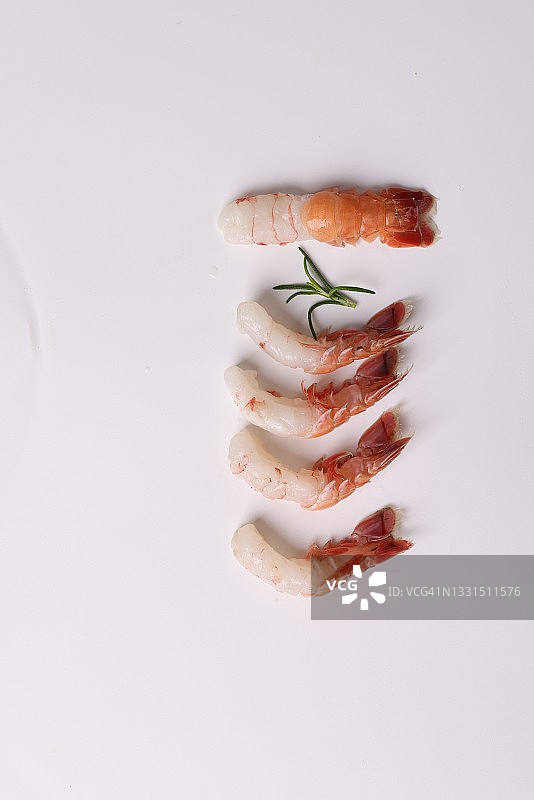 鼓虾科图片素材