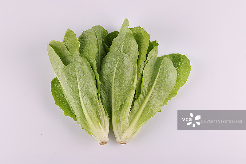 罗马生菜图片素材