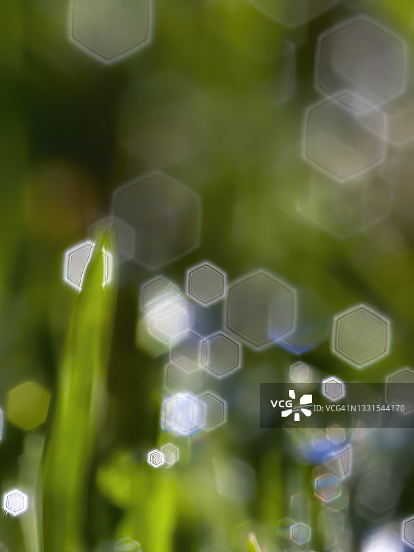 散景效果图片素材