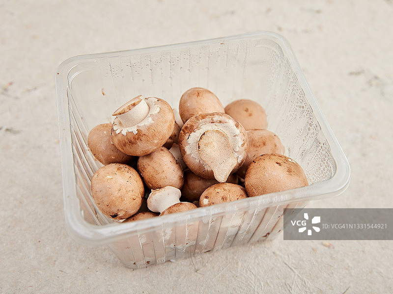 栗蘑菇图片素材