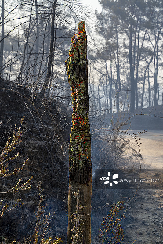 土耳其安塔利亚马纳夫加特南部海岸发生大规模森林火灾图片素材