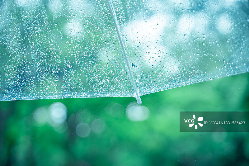 雨中潮湿的雨伞图片素材