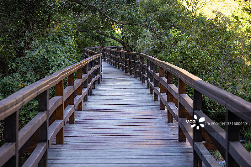 木制人行道图片素材