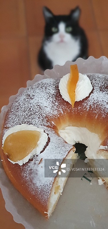 想吃蛋糕的猫图片素材