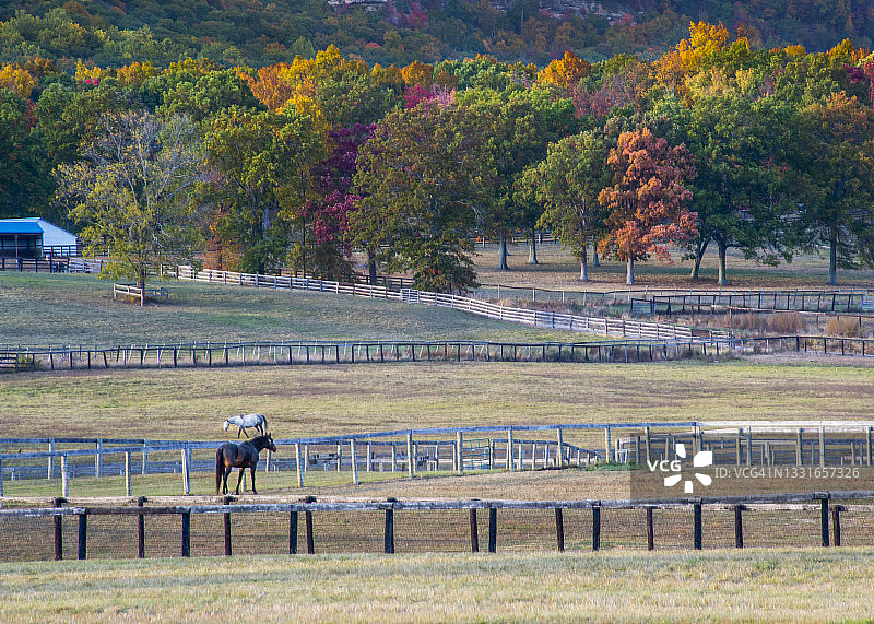 纽约卡茨基尔的秋叶图片素材