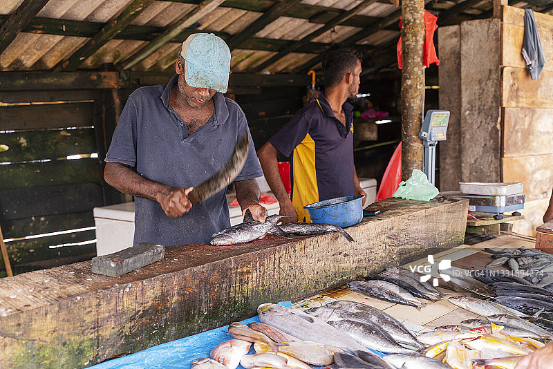 在斯里兰卡本托塔附近的阿卢特加马，销售员在一个小型鱼市工作，其中一人正在清理和切割新鲜捕获的扳机鱼。图片素材