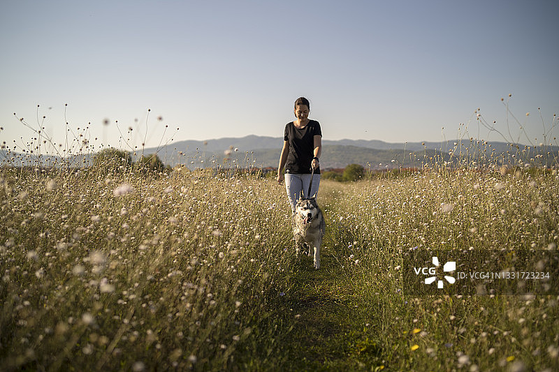 在公园里和她的狗在一起的女人图片素材