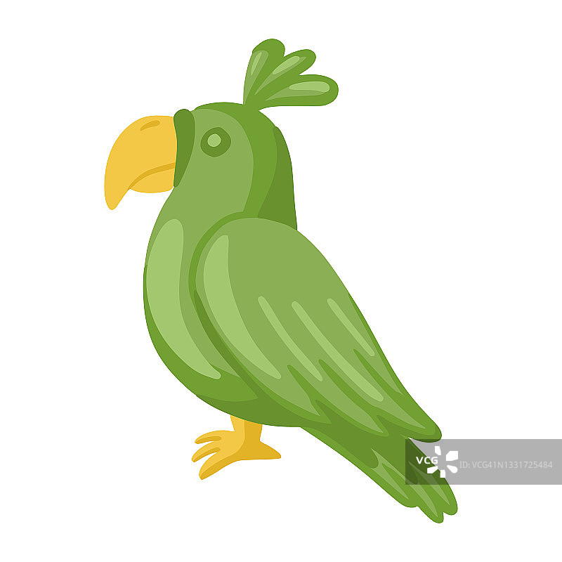 绿鹦鹉，隔离在白色背景上图片素材