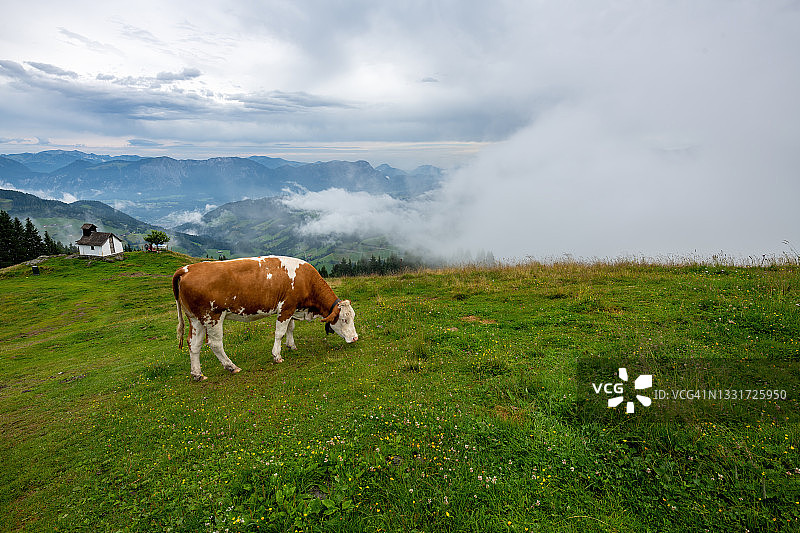 奥地利维尔德舍瑙图片素材