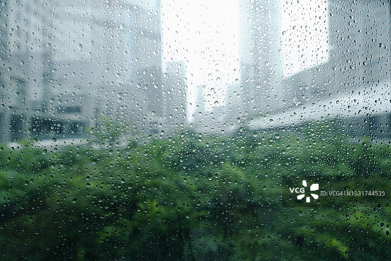 多风阴雨天气下现代建筑山谷中随风摇曳的树木图片素材
