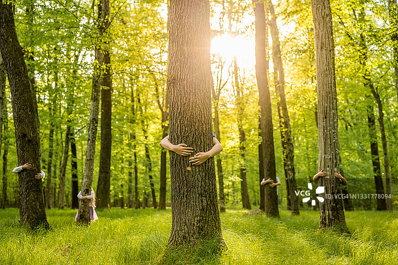 一家人在森林里拥抱树干图片素材