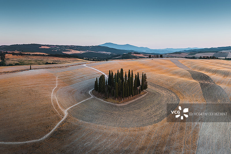 意大利托斯卡纳的柏树林图片素材
