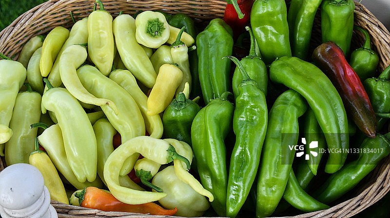 花园里采摘的彩色辣椒篮子，准备上市图片素材