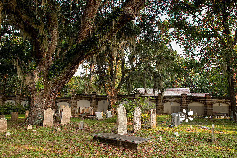南方墓地与美洲栎上的西班牙苔藓图片素材