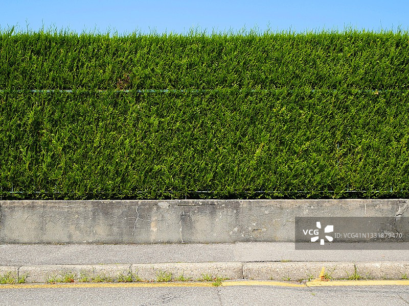 埃维昂莱班的绿篱，人行道，街道和蓝天图片素材