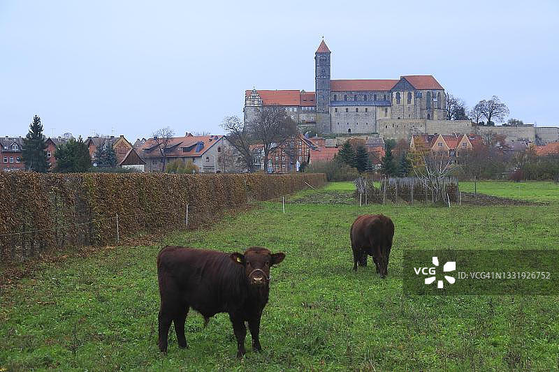 奎德林堡圣塞尔瓦提乌斯教堂学院城堡和阿布泰花园，德国萨克森-安哈尔特州哈茨山区图片素材