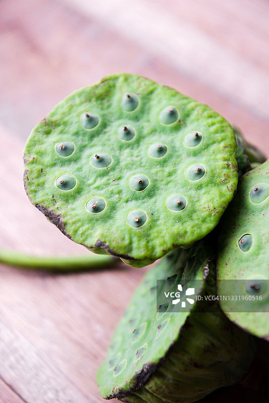 莲子与莲蓬图片素材