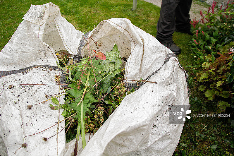 绿色废弃物图片素材