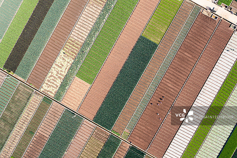 亚洲农民在田间劳作图片素材