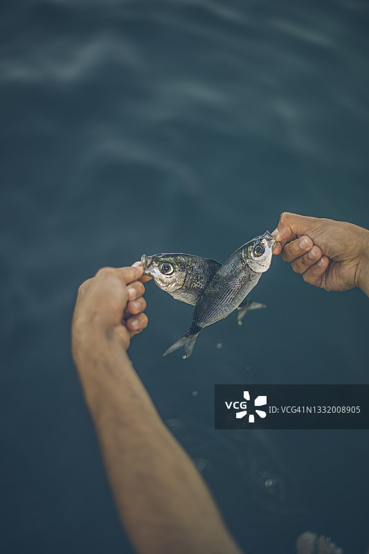 年轻男子从海里捡起两条小鱼图片素材
