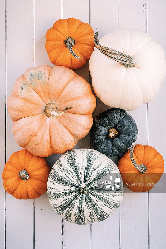 彩色南瓜和葫芦图片素材