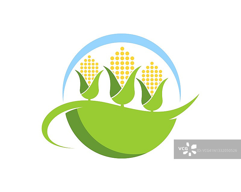 绿色田野里的三株抽象玉米图片素材