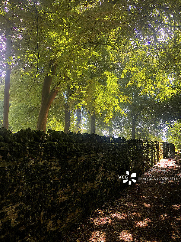 有斑驳小路的公园围墙图片素材