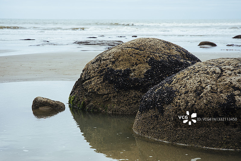 新西兰摩拉基海滩巨石图片素材