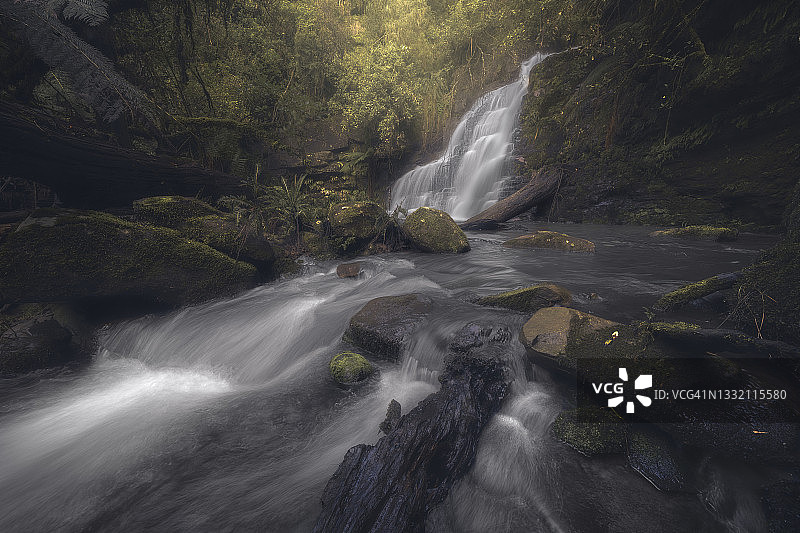 澳大利亚茂盛温带雨林中的瀑布、河流和激流图片素材