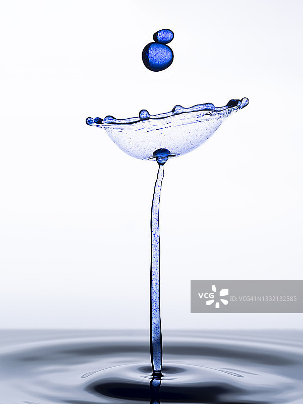 蓝色水滴（水蘑菇）在白色背景上的碰撞图片素材