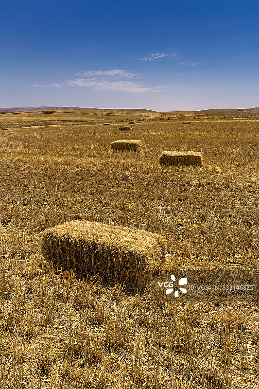 稻草包图片素材