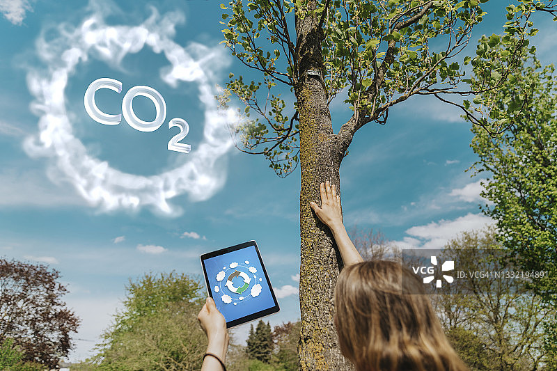 女人在公园里触摸树木，同时手持数位平板电脑图片素材