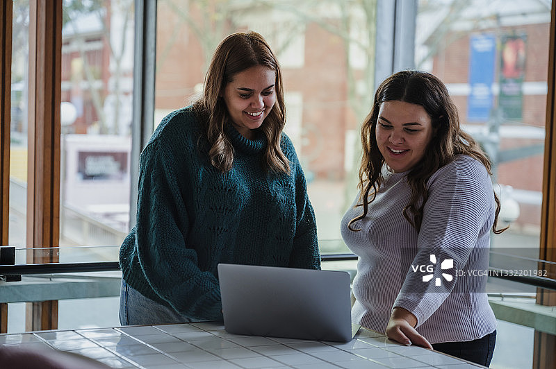 一起看笔记本电脑的两个微笑的朋友图片素材