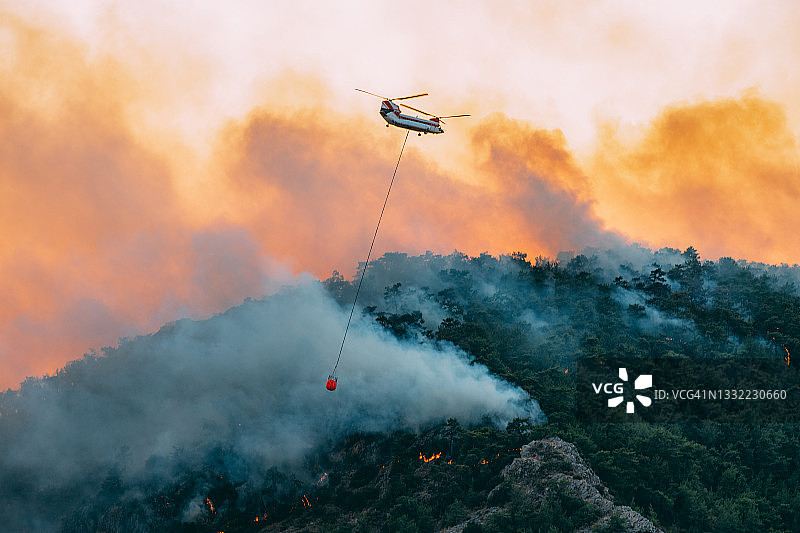森林火灾中的消防直升机图片素材