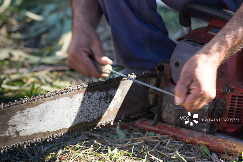 伐木工人磨链锯图片素材