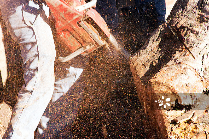 伐木工人使用链锯图片素材