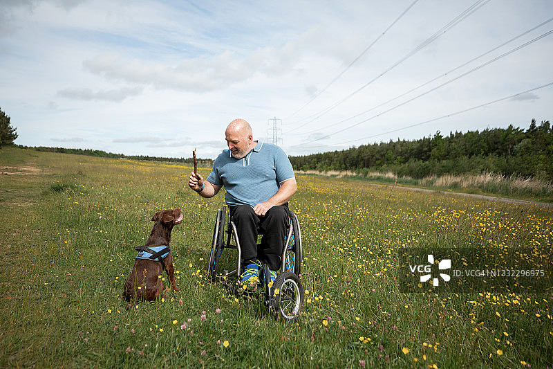 在自然保护区和我的狗玩耍图片素材