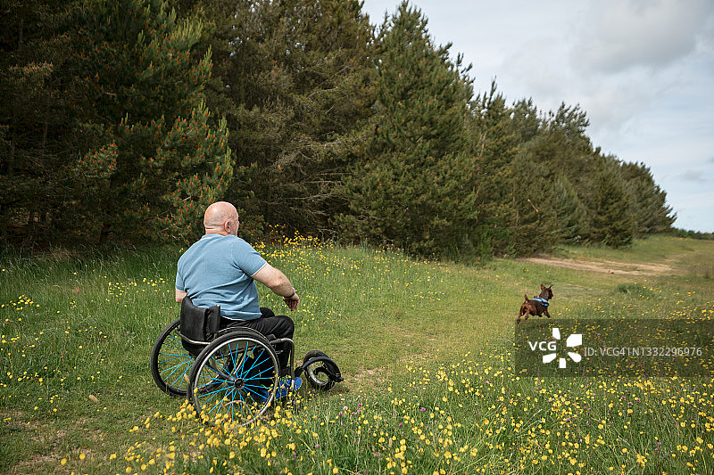 在公园里和我的狗玩耍图片素材