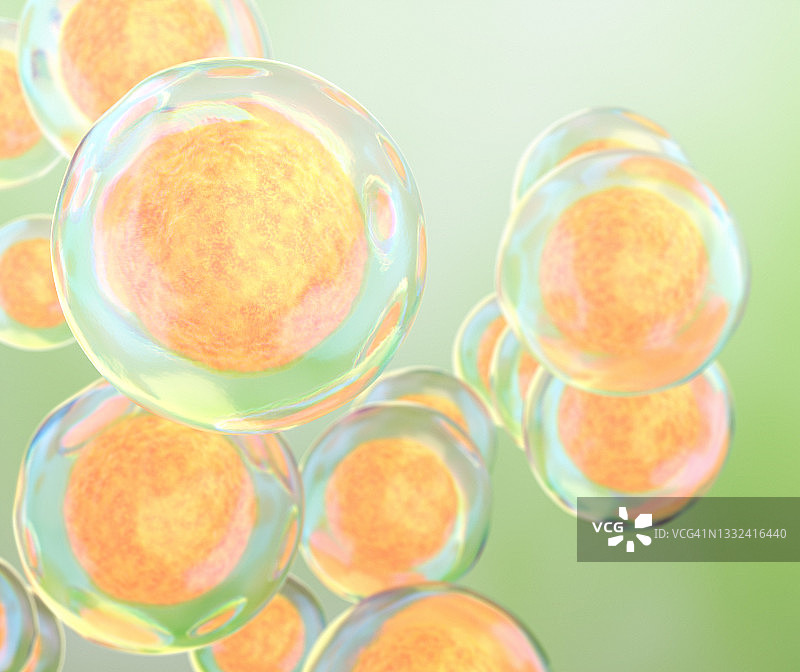 胚胎干细胞图片素材